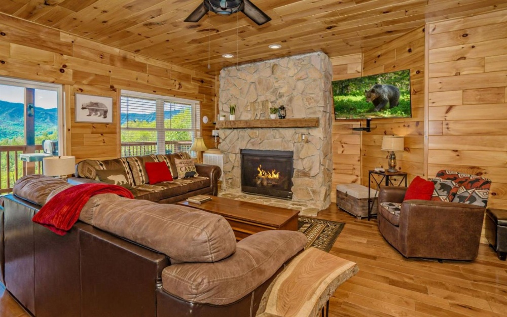 Beartastic Mountain View Lodge