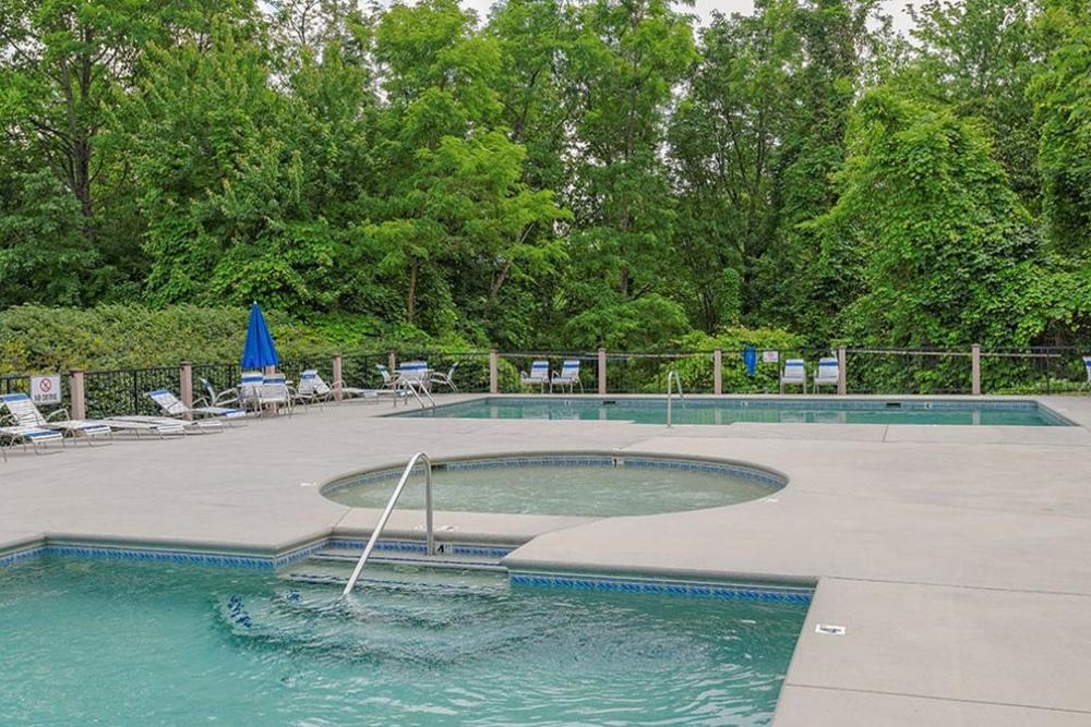 Beartastic Mountain View Lodge