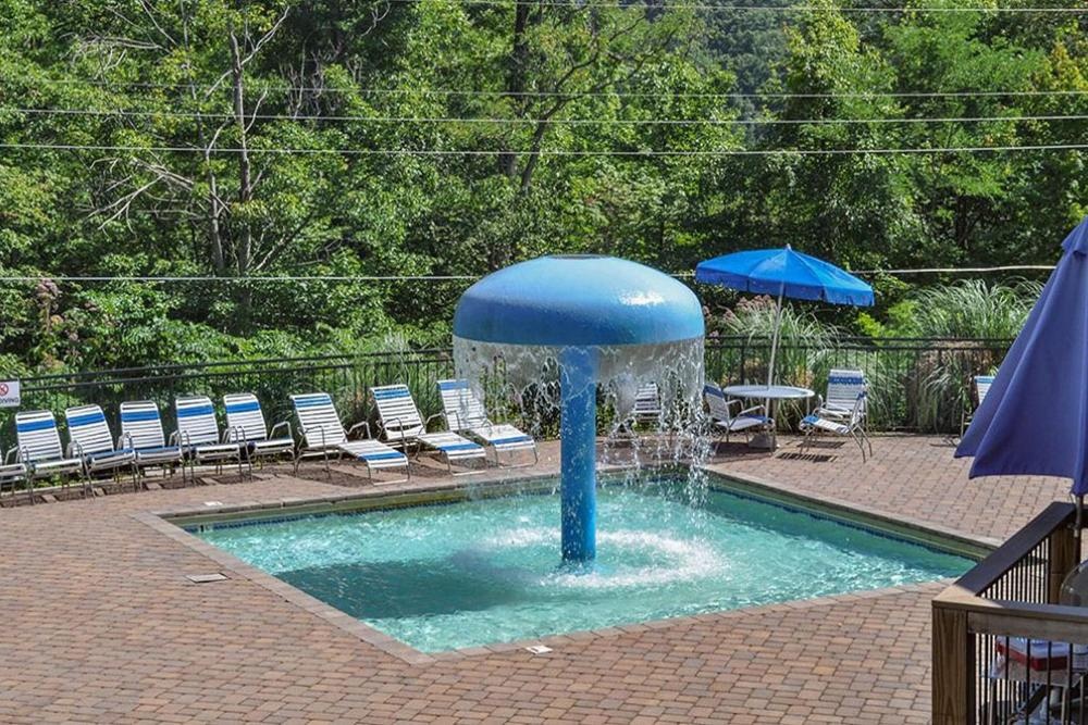 Beartastic Mountain View Lodge